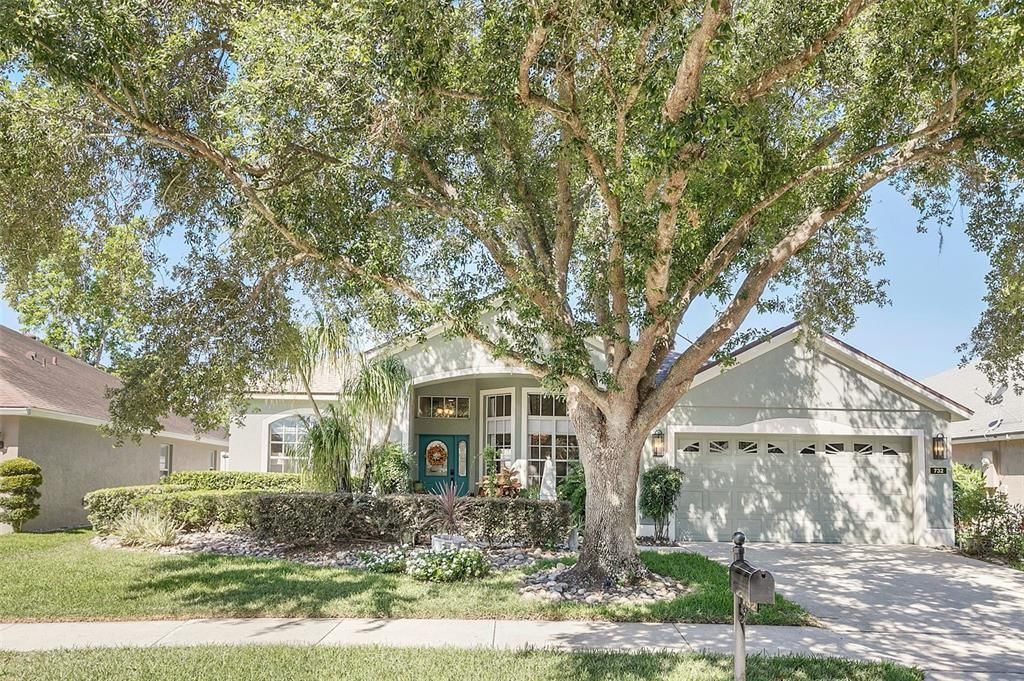 Shady Oak Canopy Front Yard