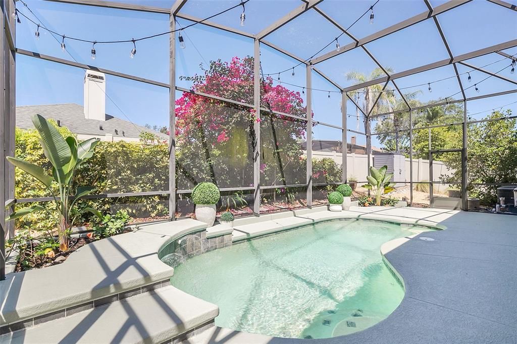 Pool and Backyard