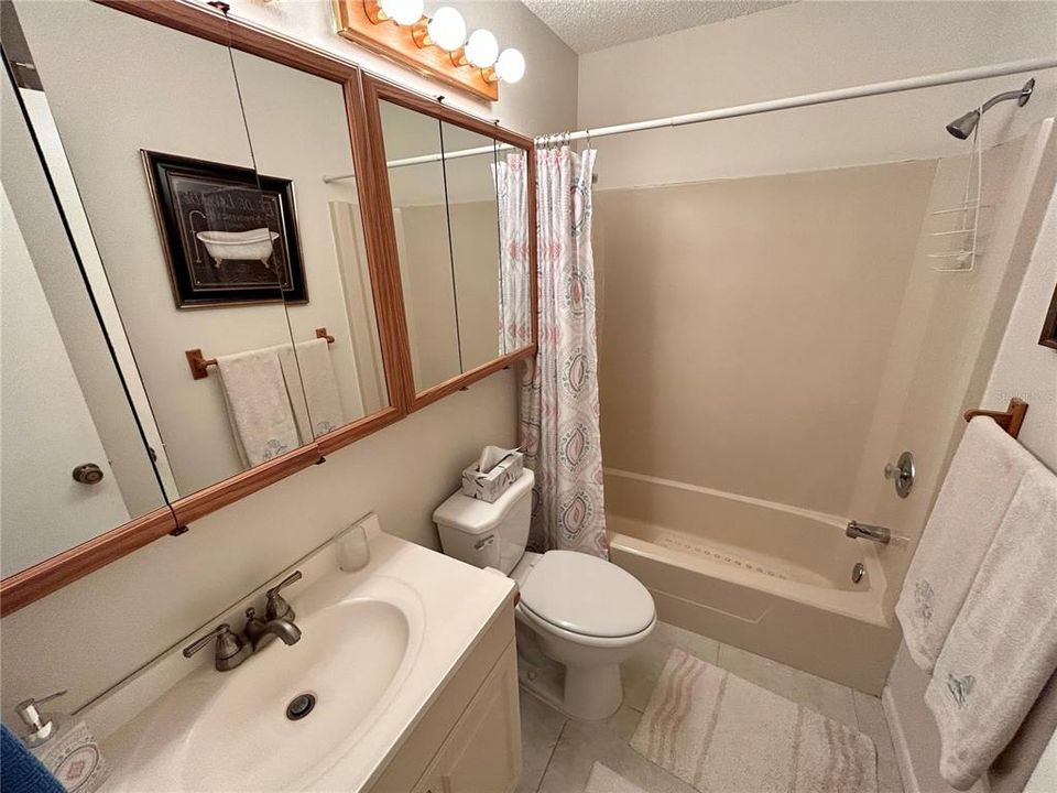 Guest bathroom