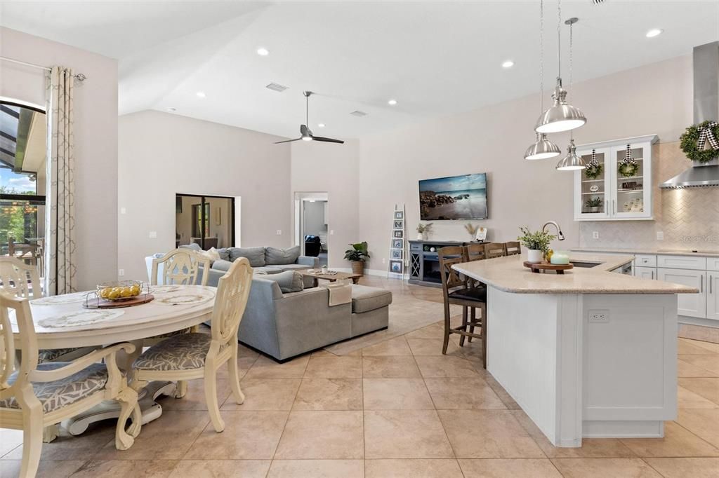 Family Room/Dinette/ and Kitchen Area