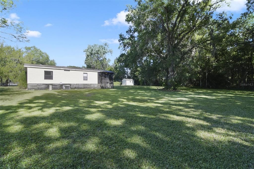 Shaded back yard