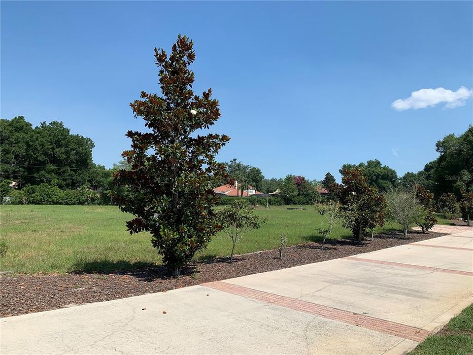 landscaped driveway into the property