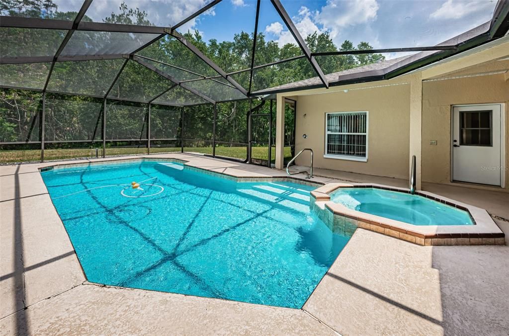 Heated Pool with Jacuzzi