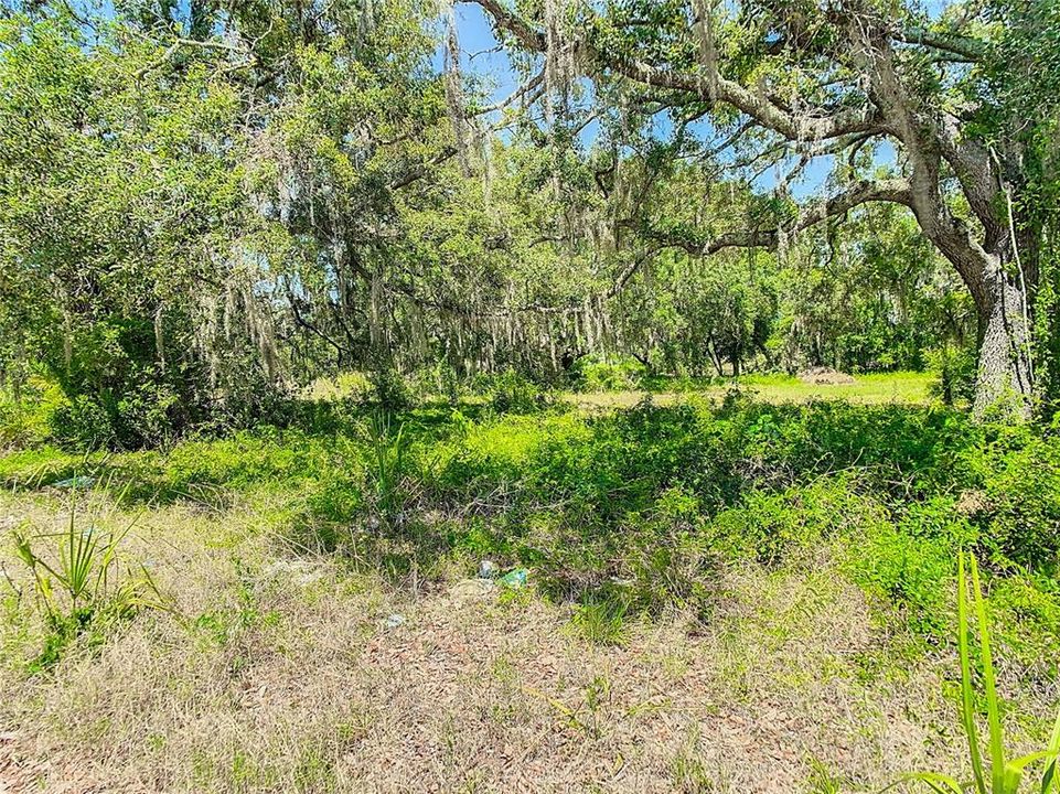 For Sale: $545,000 (0.49 acres)
