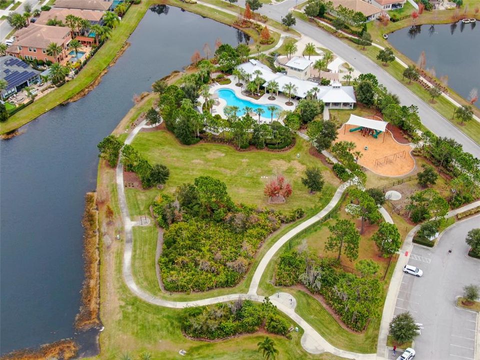 Aerial view of the Amenity Center