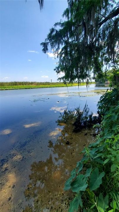 Lake Rousseau