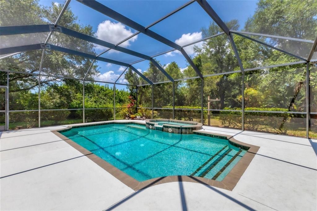 Large caged lanai, pool and spa.