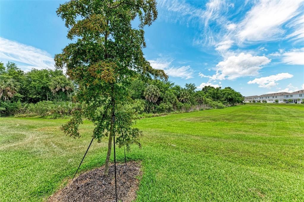 Active With Contract: $399,500 (3 beds, 2 baths, 1555 Square Feet)