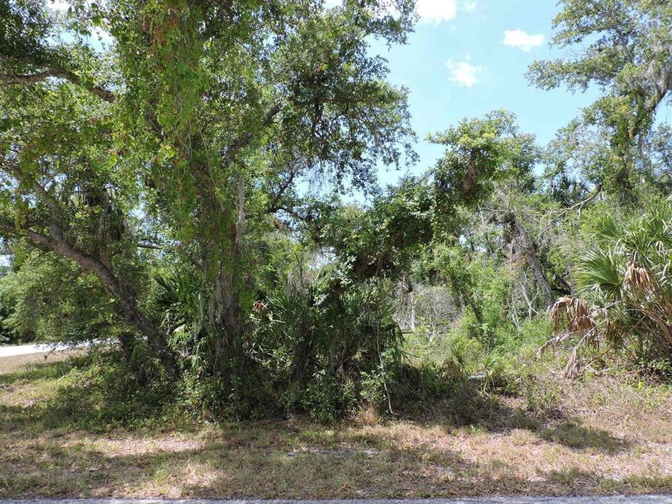 Vendido Recientemente: $25,000 (0.23 acres)