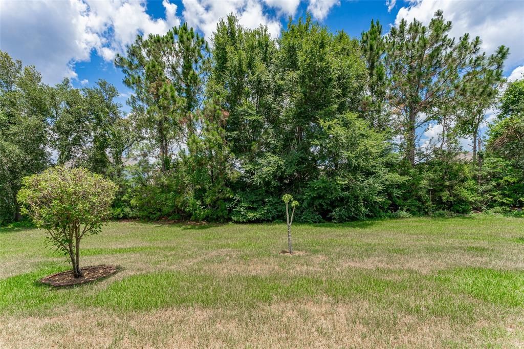 View of backyard from the lanai. An easement gives you extra room & the mature tree line blocks out the backyard neighbors. It's almost like having none at all!