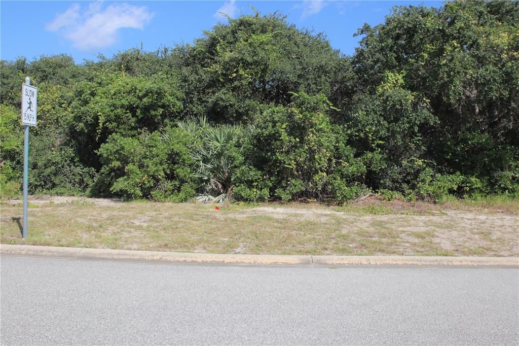 Street view of Vacant lot