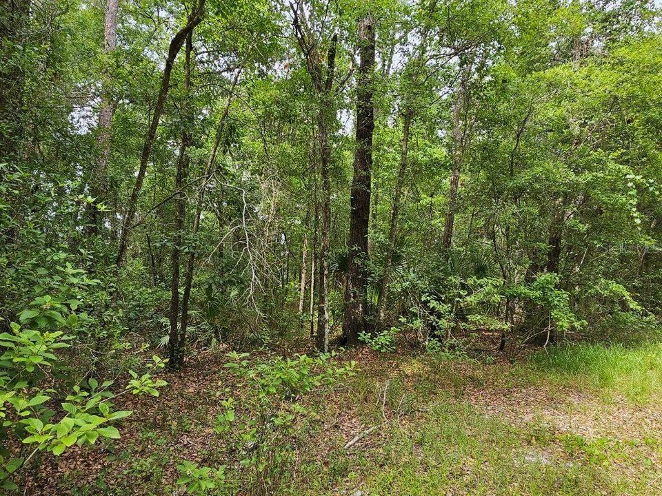 Recently Sold: $59,900 (4.53 acres)