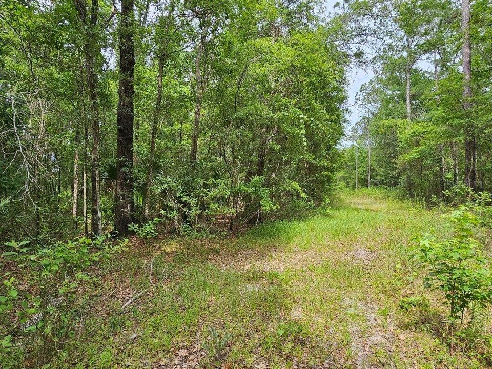 Recently Sold: $59,900 (4.53 acres)