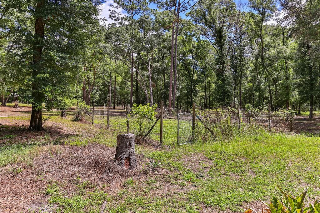 STILL PART OF THE PROPERTY BUT SEPARATLEY FENCED AREA