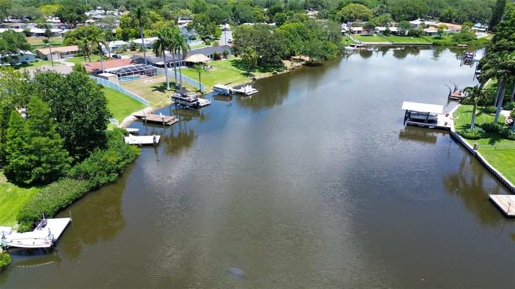 Allen's Creek & a Manatee