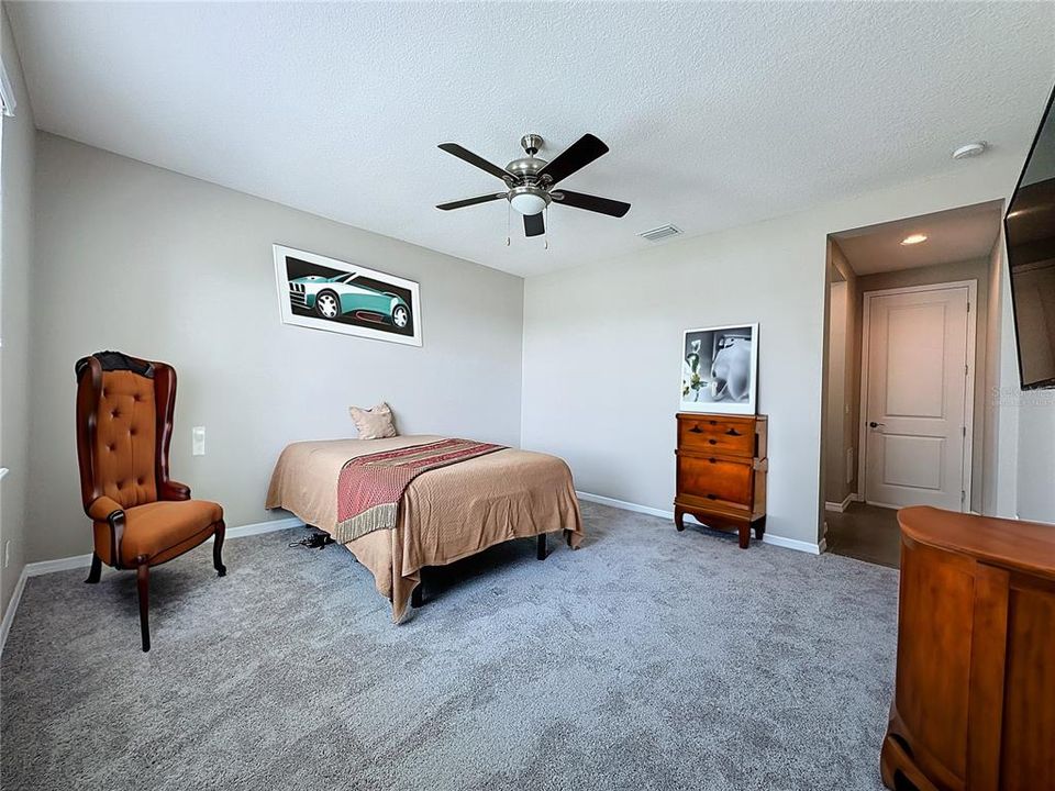 Partially virtually staged - Spacious Primary Bedroom- new brown carpet and freshly painted