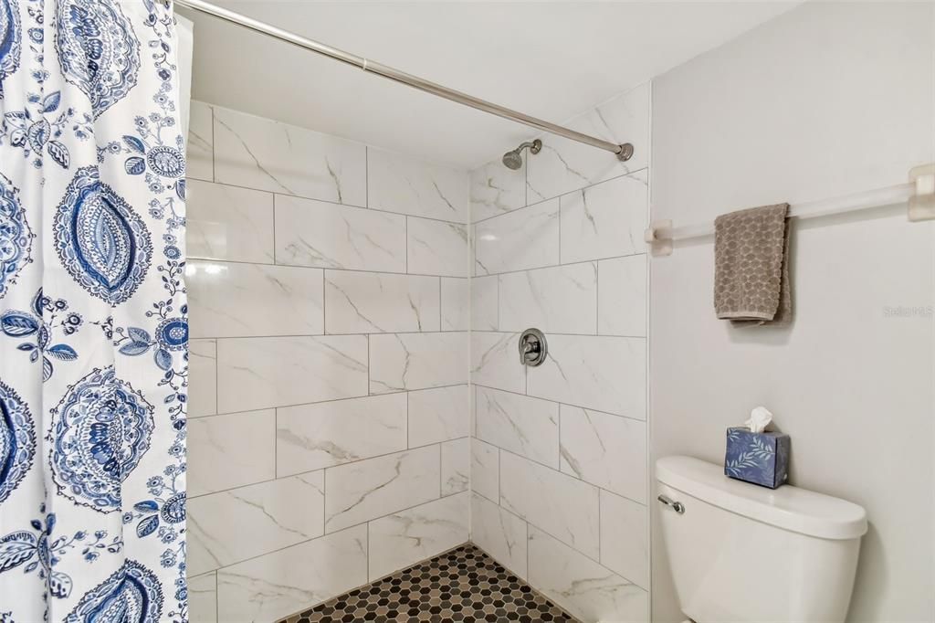 Master Bath Walk-In Shower