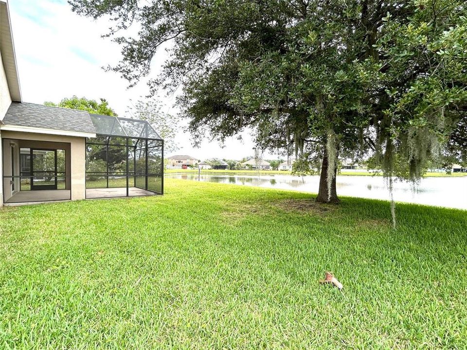 Backyard Water view Shade Tree & Lanai