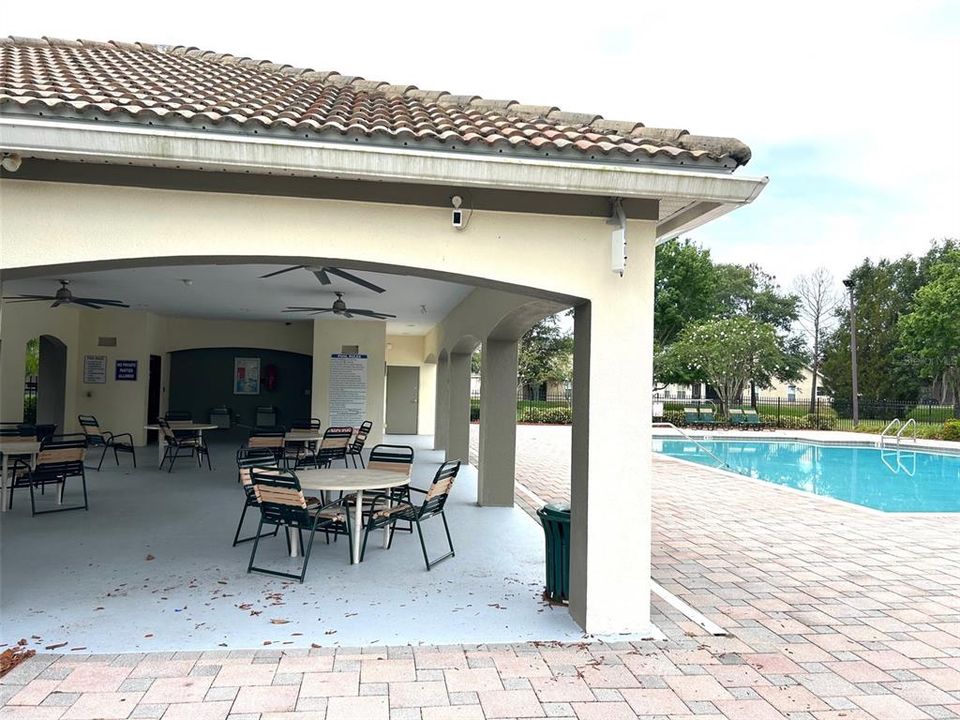 Pool Canopy