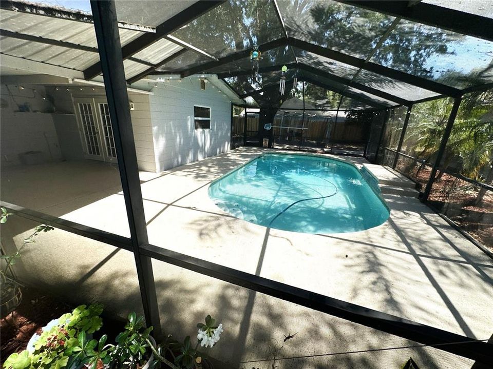 Pool with pet screen around bottom