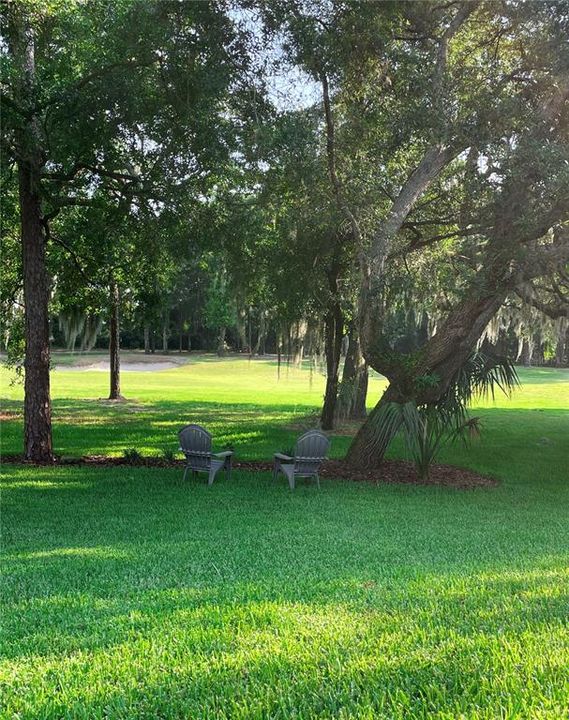 Backyard on 16th Green