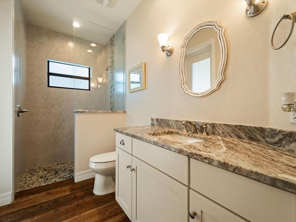 Guest bathroom doubles as the pool bathroom.