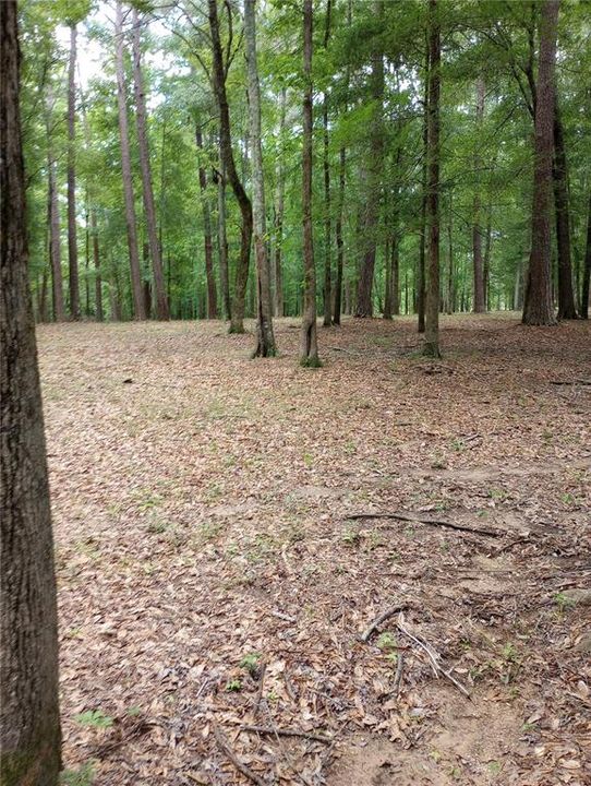 Active With Contract: $72,000 (1.16 acres)