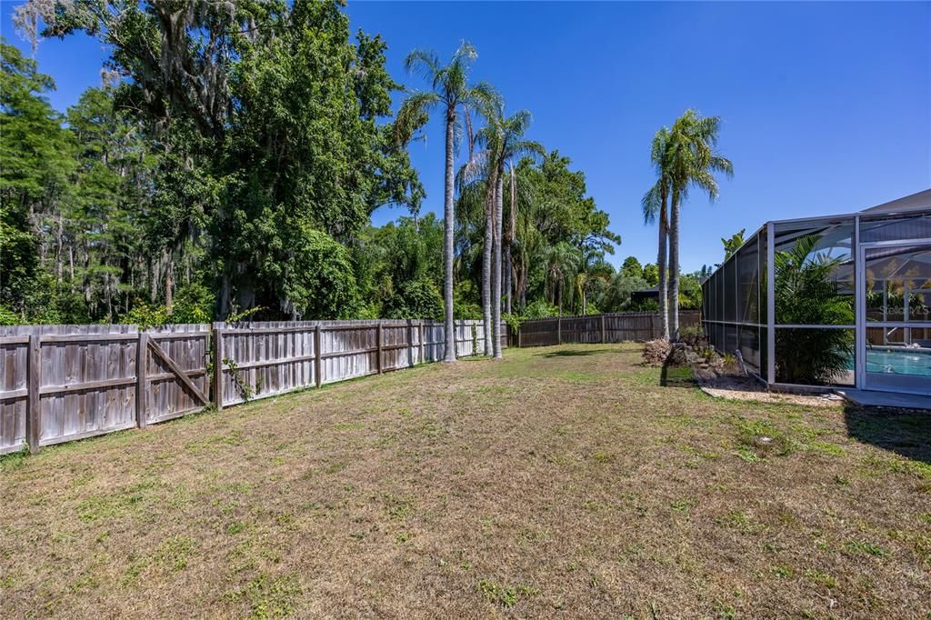 Large back yard for pets and play!