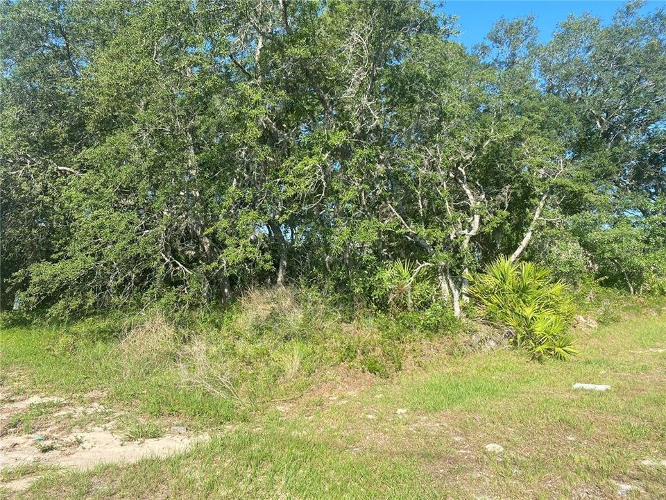 Vendido Recientemente: $70,000 (0.18 acres)