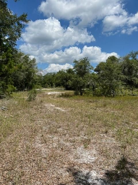 For Sale: $49,000 (1.13 acres)