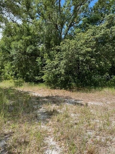 For Sale: $49,000 (1.13 acres)