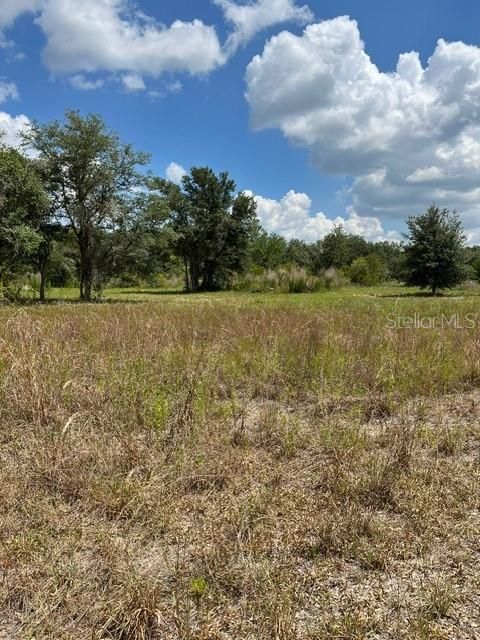 For Sale: $49,000 (1.13 acres)