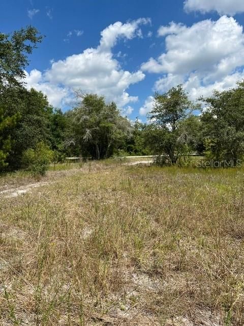 For Sale: $49,000 (1.13 acres)