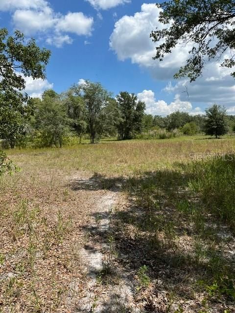 For Sale: $49,000 (1.13 acres)