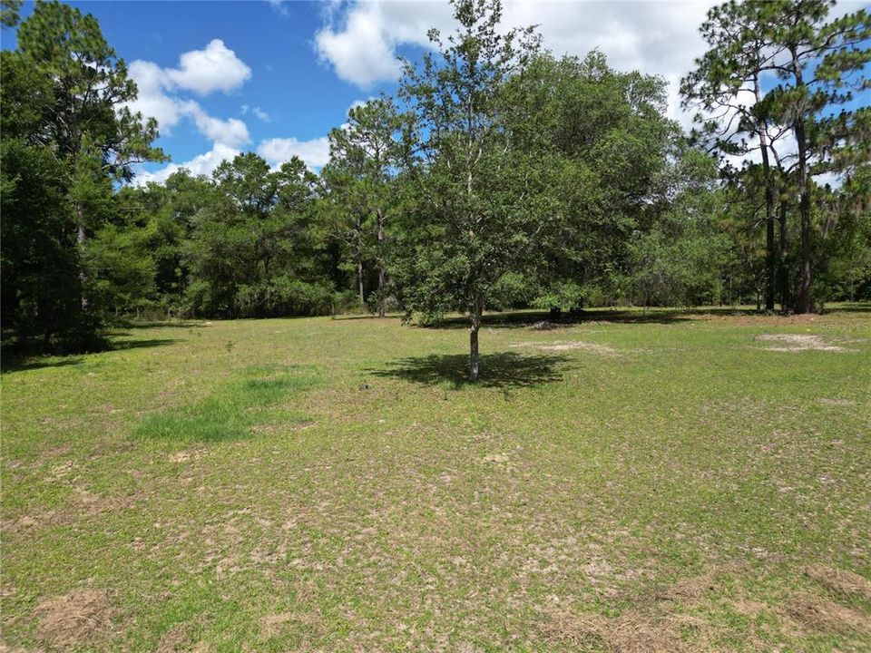 Active With Contract: $360,000 (2 beds, 2 baths, 2000 Square Feet)