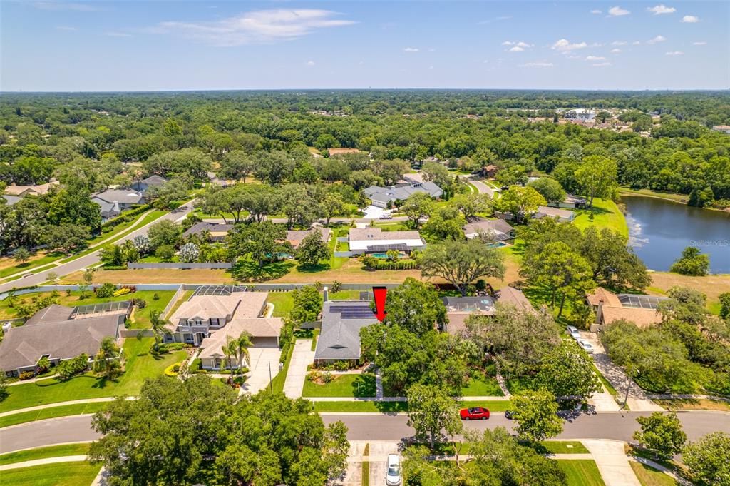 Perfect central location in Carrollwood are