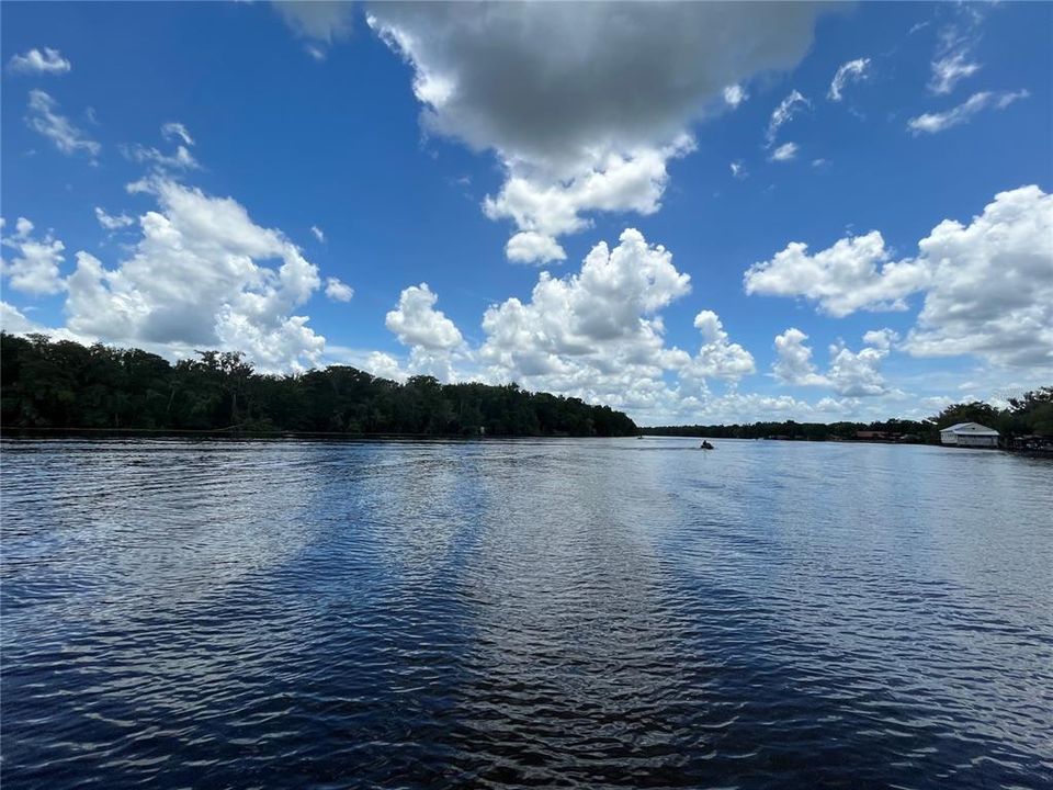 View of the St. John's River.