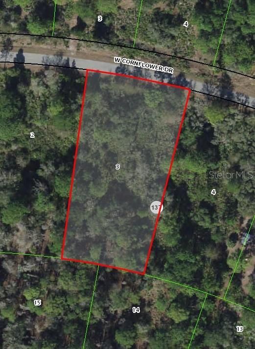 For Sale: $27,988 (1.26 acres)