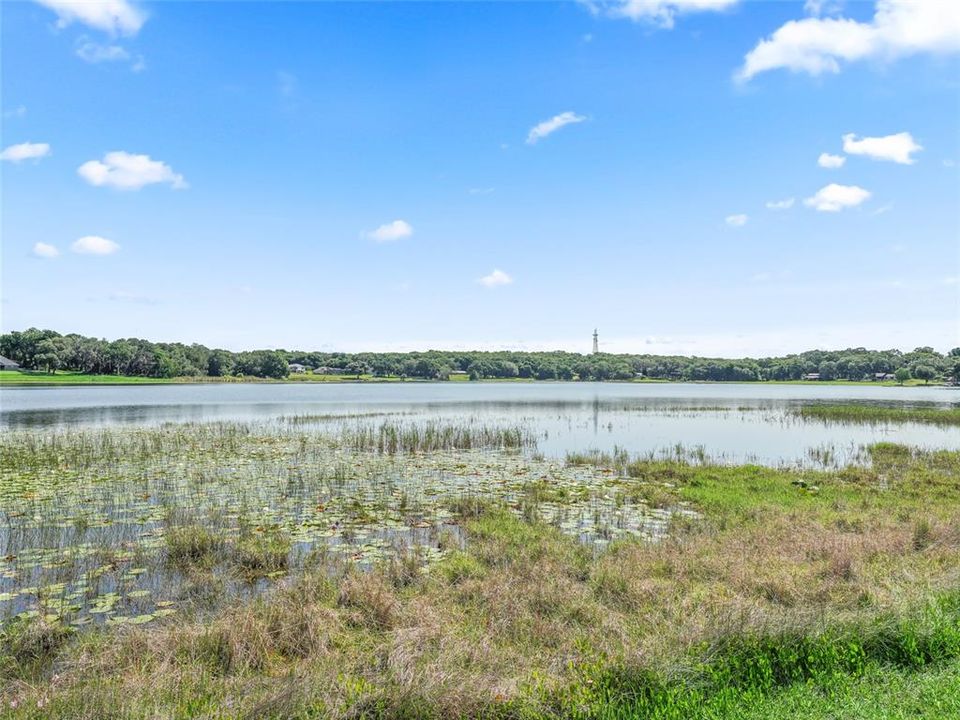 Looking from dock across lake