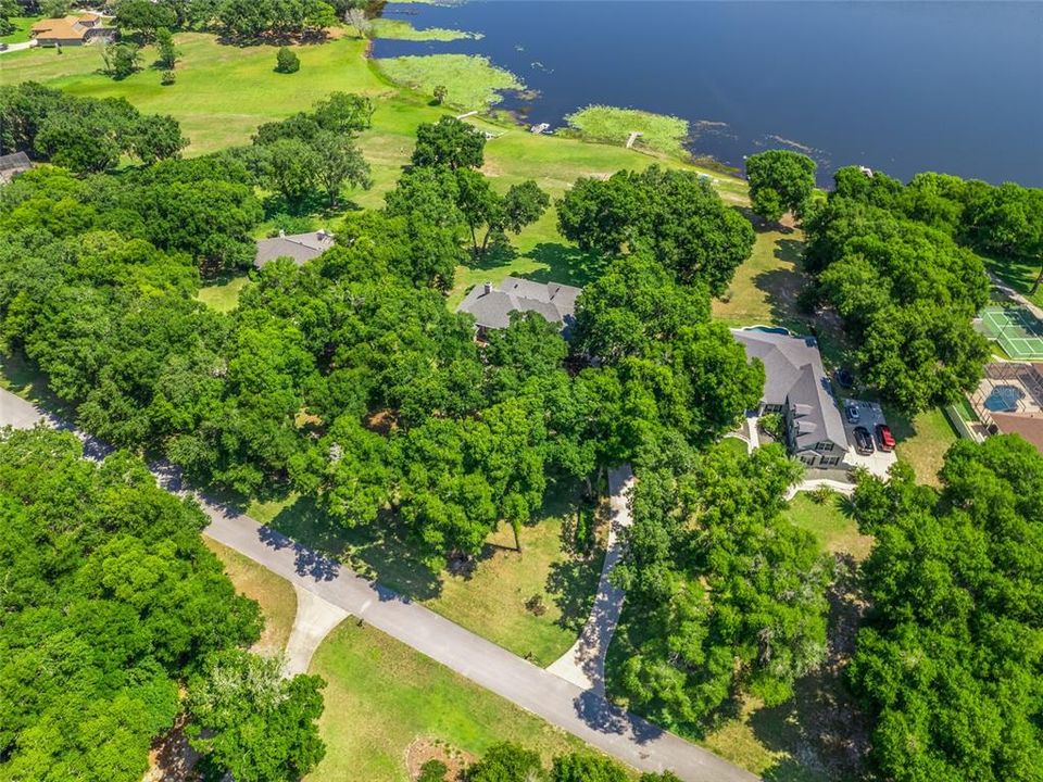 Aerial picture showing more of the neighborhood.