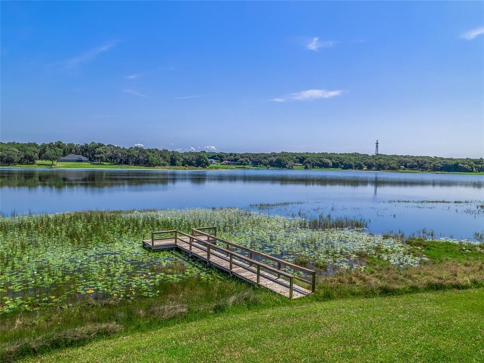 View showing dock and looking across the lake