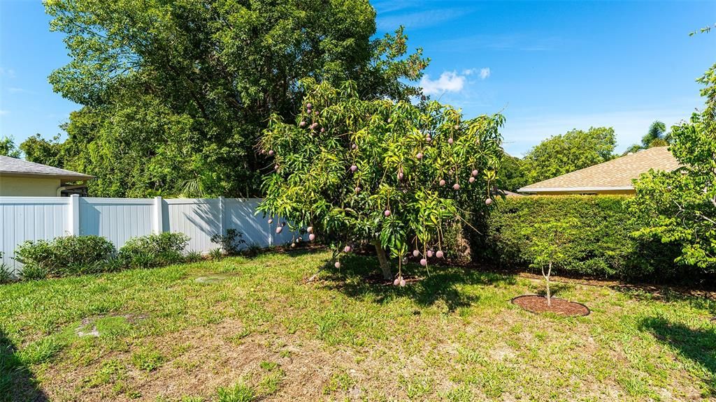 For Sale: $495,000 (3 beds, 2 baths, 1896 Square Feet)