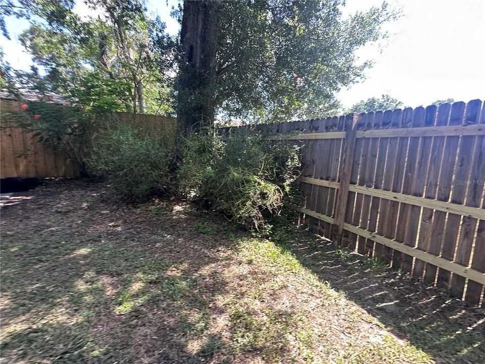 Backyard - New fences