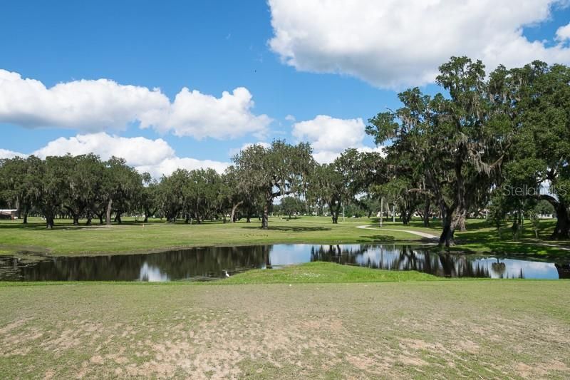 Active With Contract: $375,000 (3 beds, 2 baths, 1352 Square Feet)