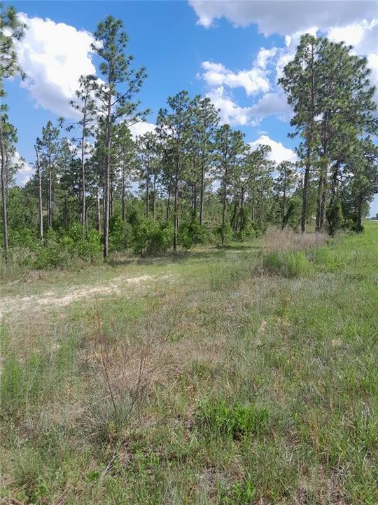 Active With Contract: $735,000 (76.77 acres)