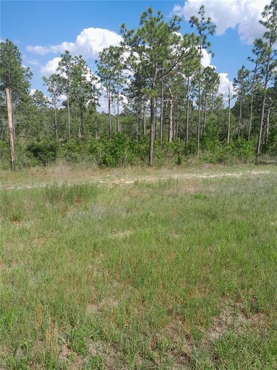 Active With Contract: $735,000 (76.77 acres)