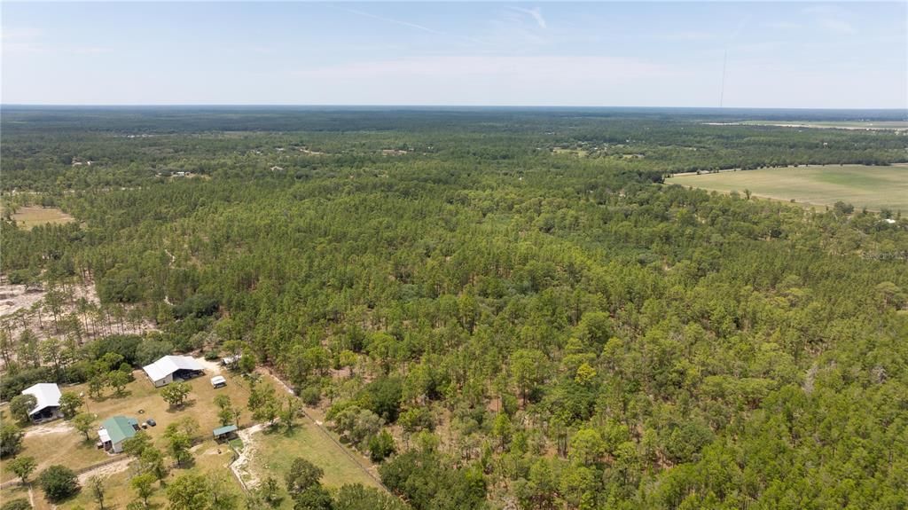Active With Contract: $735,000 (76.77 acres)