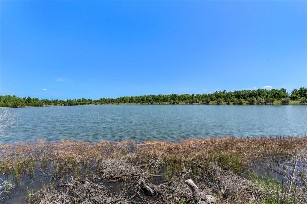 Water view behind home