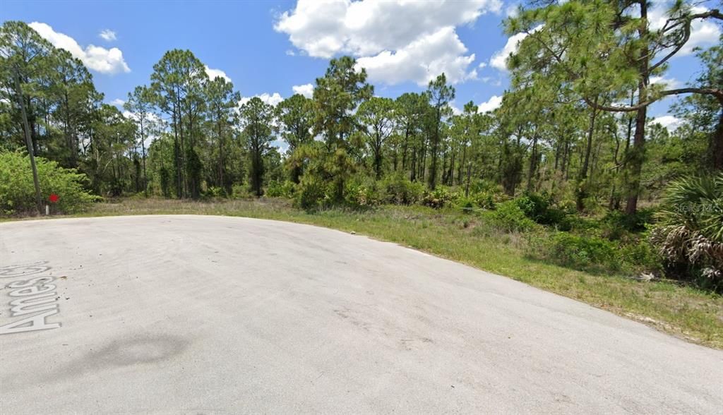 For Sale: $32,900 (0.38 acres)