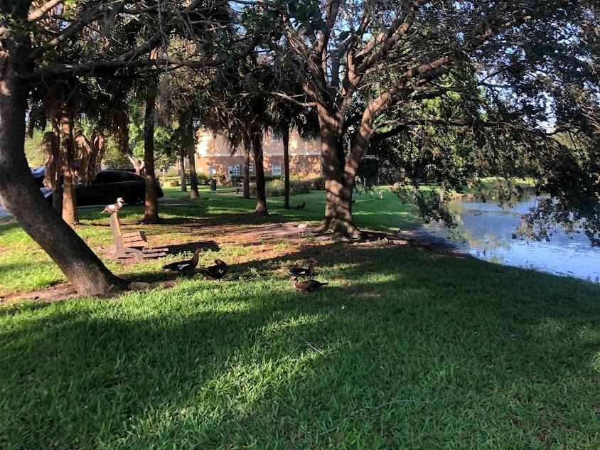 Sitting Area By The Lake